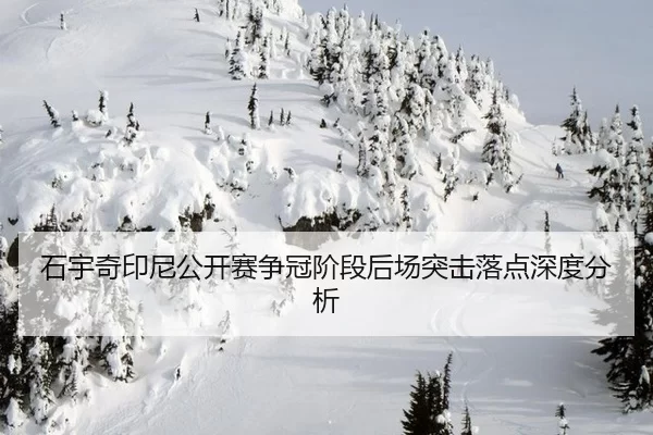 石宇奇印尼公开赛争冠阶段后场突击落点深度分析