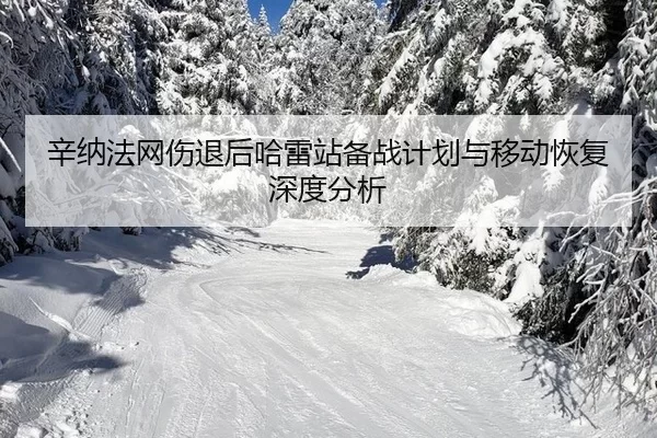 xin-na-fa-wang-shang-tui-hou-ha-lei-zhan-bei-zhan-ji-hua-yu-yi-dong-hui-fu-shen-du-fen-xi-2-939.jpg